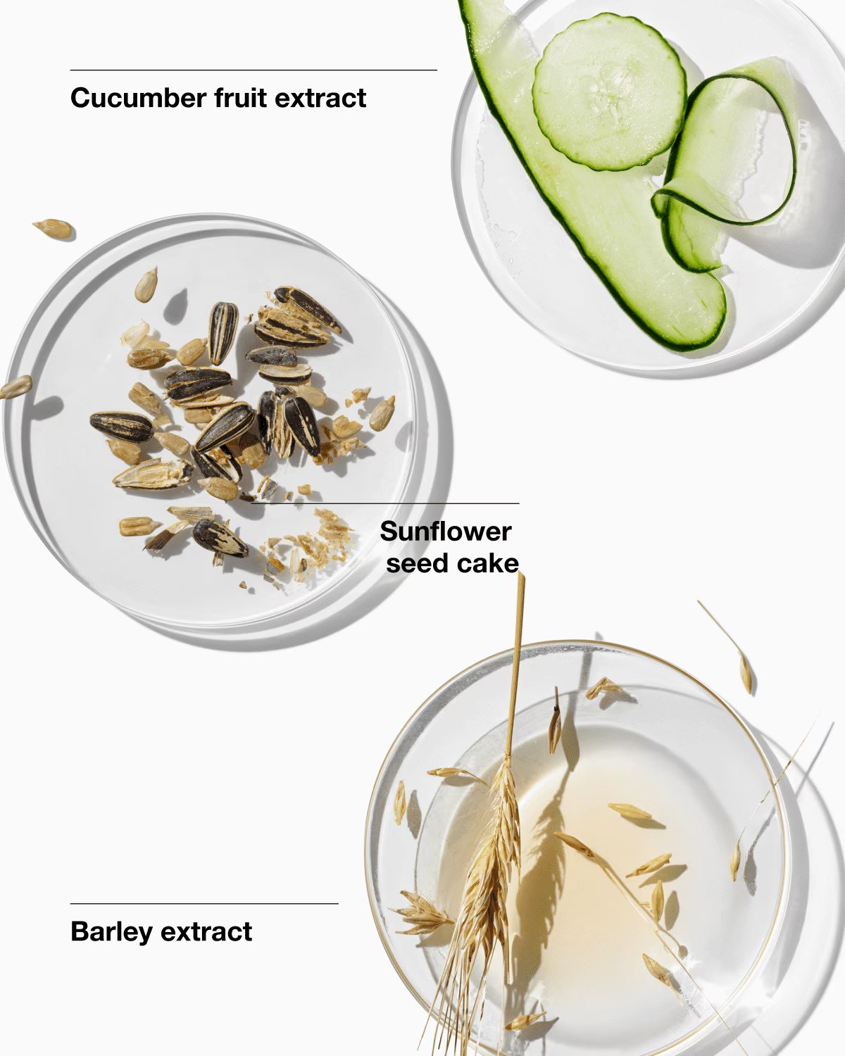 CLINIQUE Dramatically Different Moisturizing Gel 125ml - Image 3